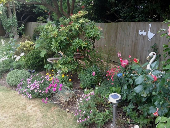 Friends of NCF - Virtual Open Gardens 2020